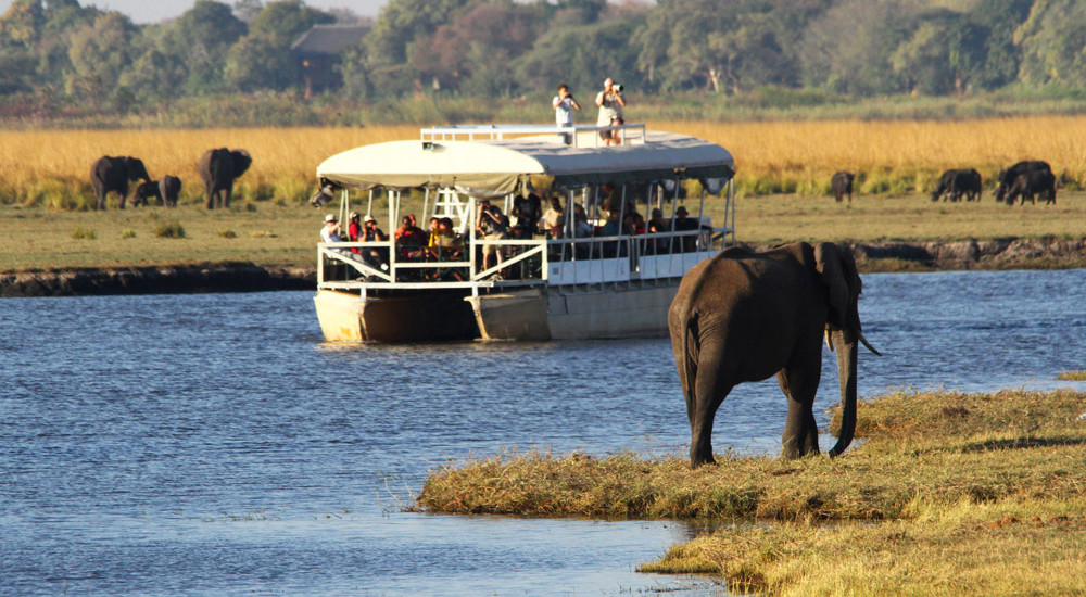 Botswana – Boat Cruise and Safari in Chobe National Park (2)