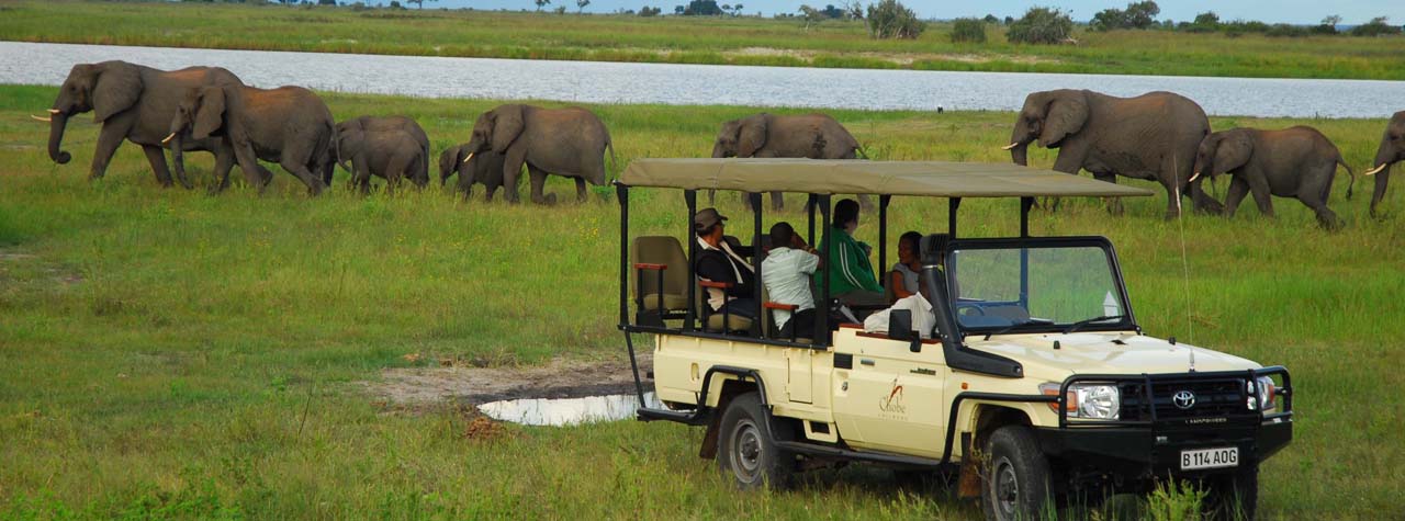 Botswana – Boat Cruise and Safari in Chobe National Park
