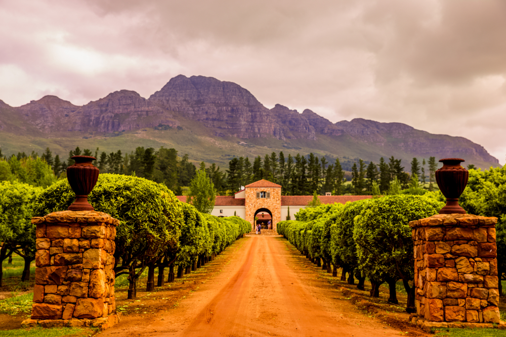 The Cape Region – Cape Dutch Heritage and Vineyards (1)