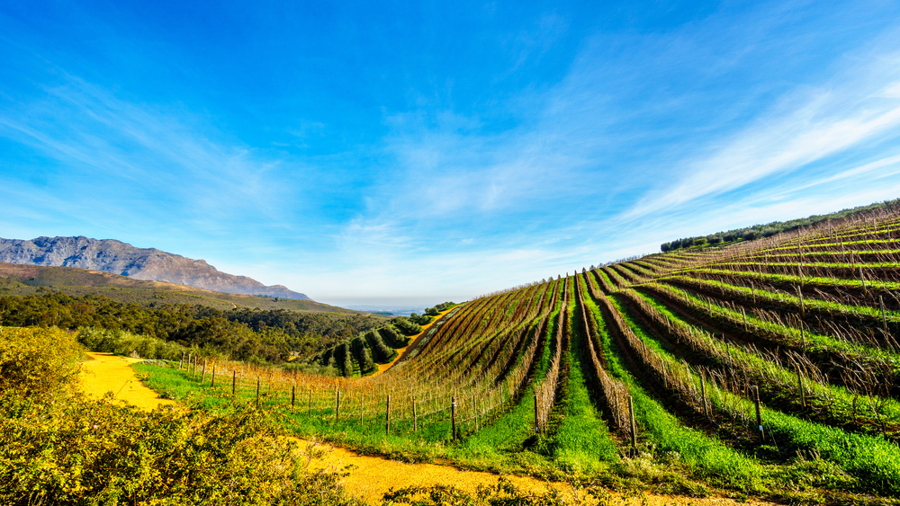 The Cape Region – Cape Dutch Heritage and Vineyards (2)