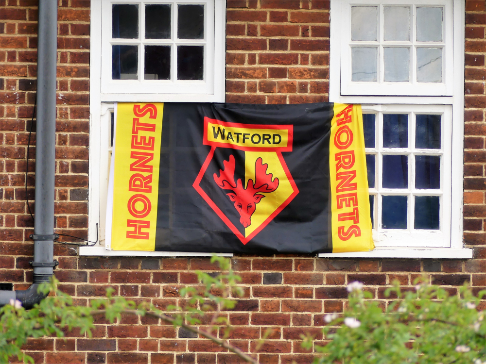 Die Fans von Watford bekennen sich zum Club